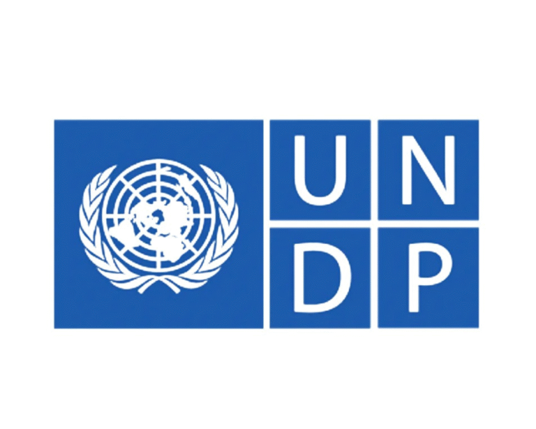 undp